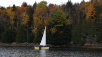 Olive Oyl sailboat