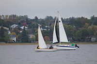 small sailboats